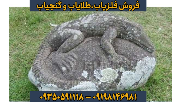 نماد تمساح در دفینه یابی؛ بررسی معنا، نشانهشناسی و نکات مهم
