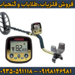 فلزیاب بوقی فیشر گلد باگ