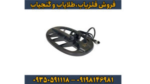 فلزیاب بوقی فیشر گلد باگ