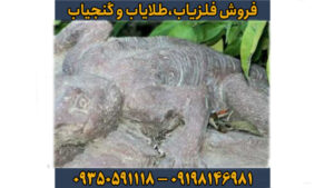 نماد آفتاب پرست در دفینه یابی