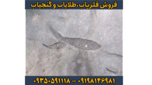 نماد ماهی در دفینه یابی