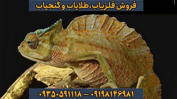 نشانههای تشخیص یک نماد معتبر