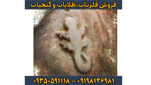 نکات کلیدی در رمزگشایی و هشدارهای ضروری