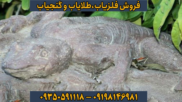 آشنایی با دستگاههای کاوش (فلزیاب، طلایاب و گنجیاب)